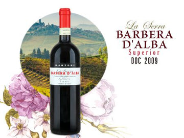 Manzone BARBERA D'ALBA︱La Serra BARBERA D'ALBA SUPERIORE DOC 2009